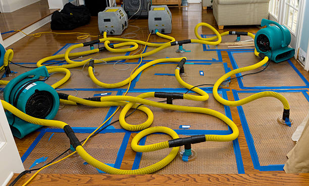 Professional Basement Flood Cleanup technician working in McFarland, CA